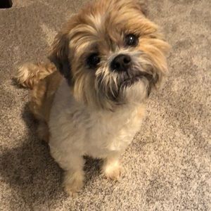 Meet your Posher, Kathrine